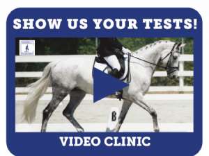 SHOW US YOUR DRESSAGE TESTS!