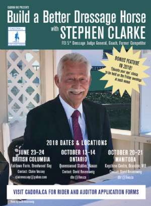 Stephen Clarke Returns in 2018