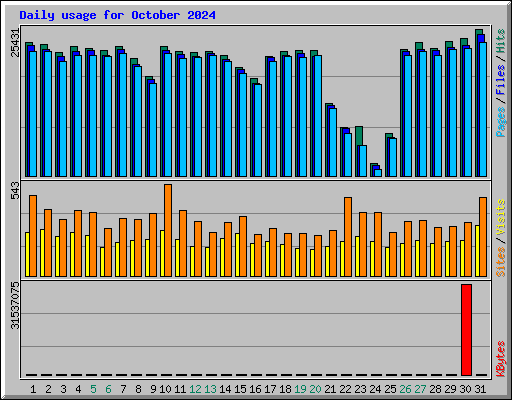 Daily usage for October 2024