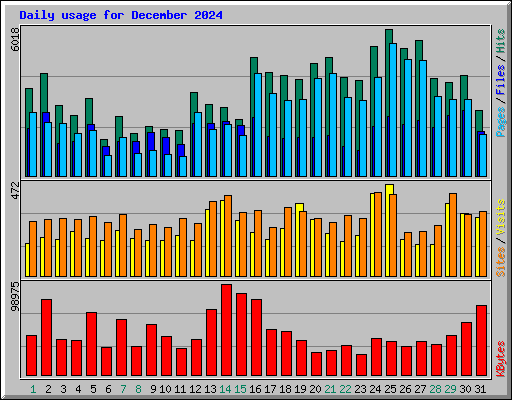 Daily usage for December 2024