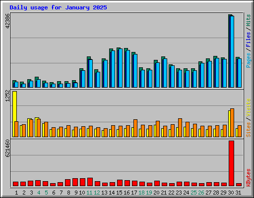 Daily usage for January 2025