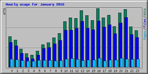 Hourly usage for January 2016