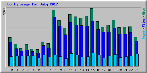 Hourly usage for July 2017