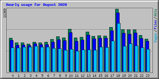 Hourly usage for August 2020