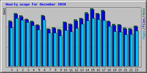 Hourly usage for December 2020