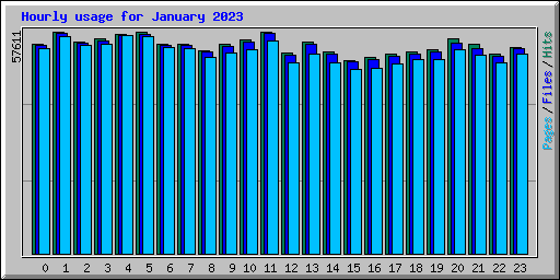 Hourly usage for January 2023