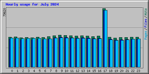 Hourly usage for July 2024