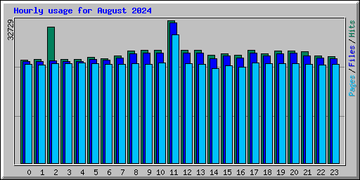 Hourly usage for August 2024