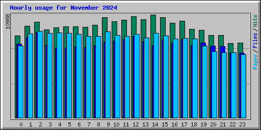 Hourly usage for November 2024