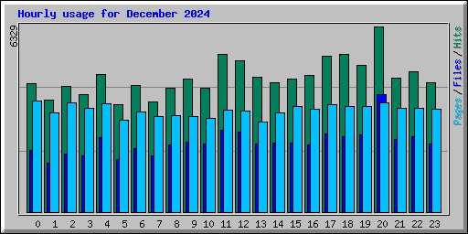 Hourly usage for December 2024