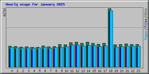 Hourly usage for January 2025