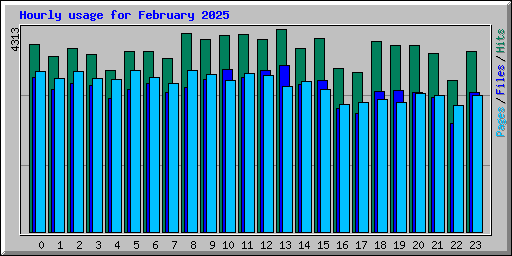 Hourly usage for February 2025