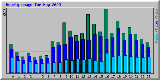 Hourly usage for May 2025