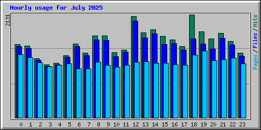 Hourly usage for July 2025