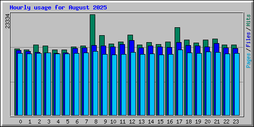 Hourly usage for August 2025