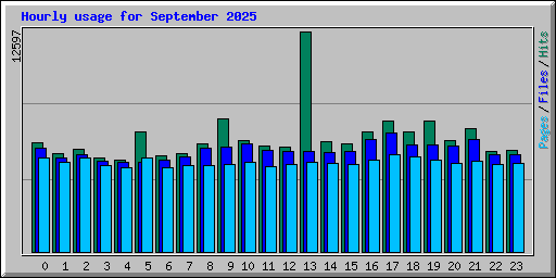 Hourly usage for September 2025