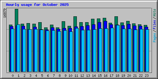Hourly usage for October 2025