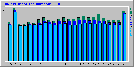 Hourly usage for November 2025
