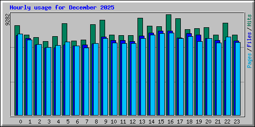 Hourly usage for December 2025