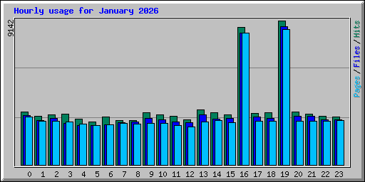Hourly usage for January 2026