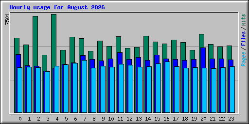 Hourly usage for August 2026